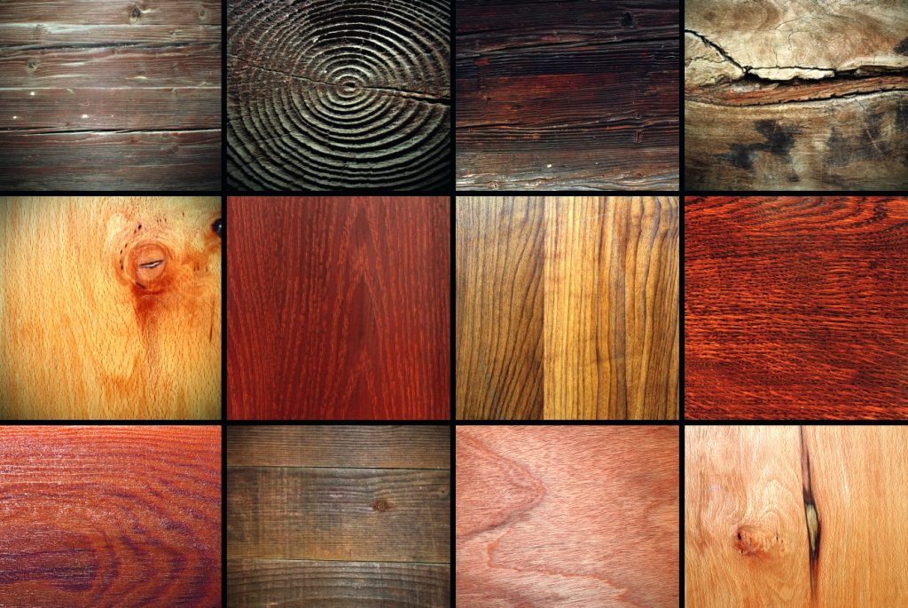 shutterstock_178881044-e1481728073821-1024x685-2